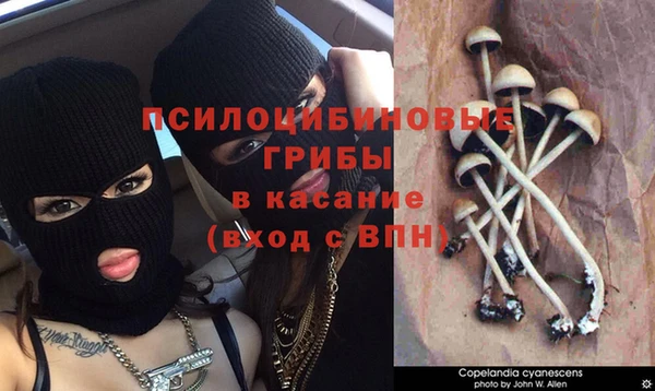 наркотики Анжеро-Судженск