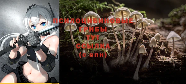 стафф Михайловка
